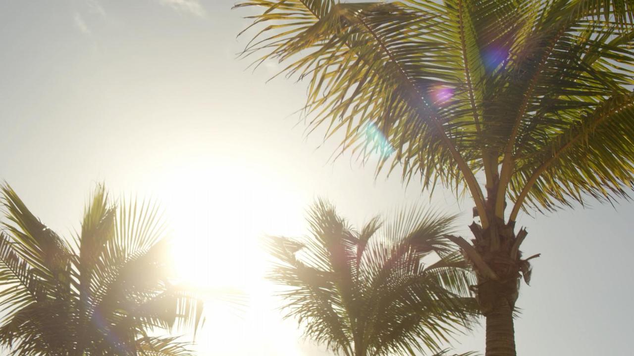 Secrets Riviera Cancun Resort & Spa (Adults Only) بويرتو موريلوس المظهر الخارجي الصورة